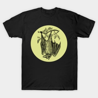 Halloween Bat, Omen, Signs and Fortunes - Pale Green and Black Variation T-Shirt